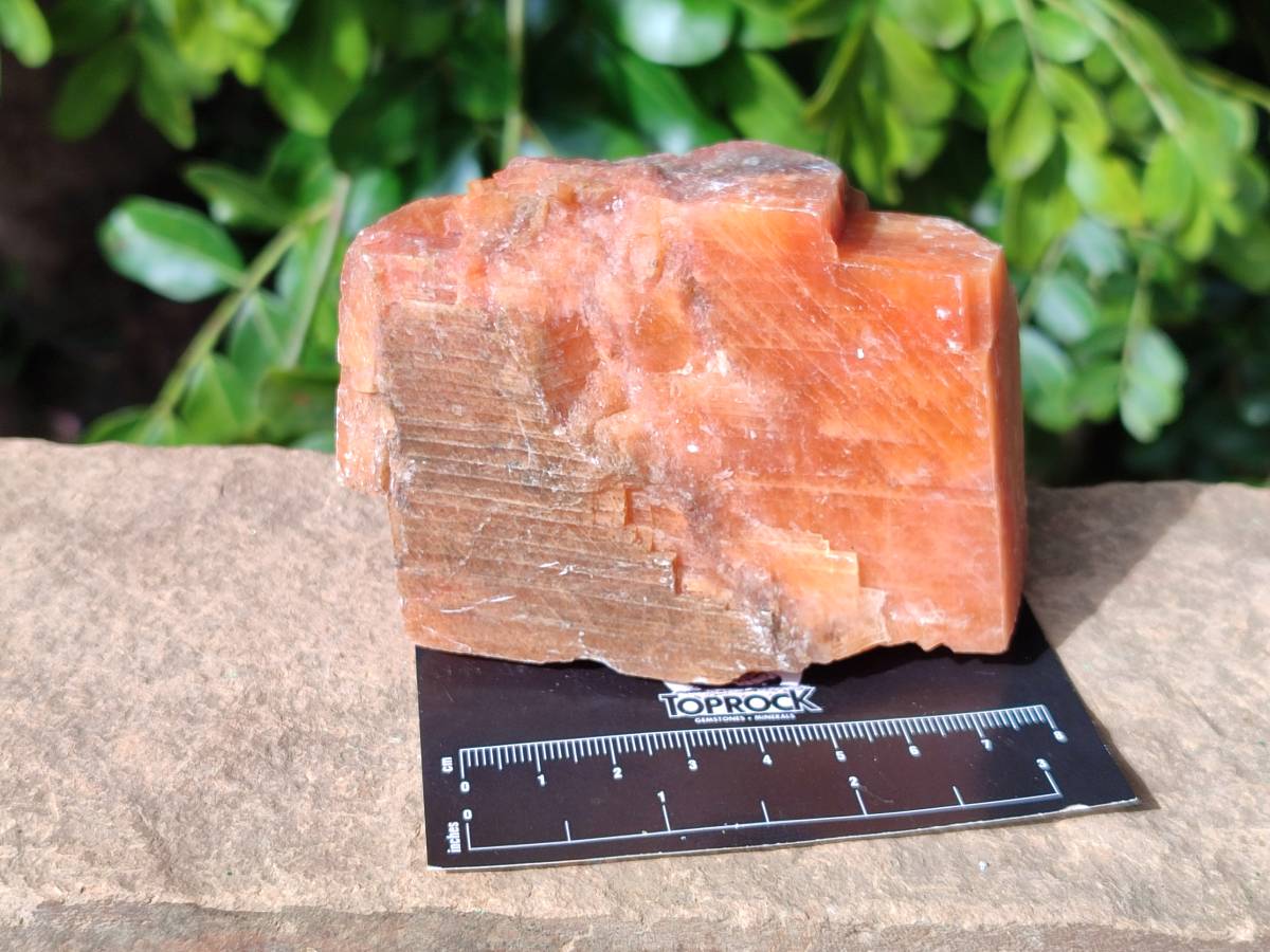 Natural Rhombohedral Sunset Orange Calcite Specimens x 6 From Spitzkop, Namibia - Toprock Gemstones and Minerals 