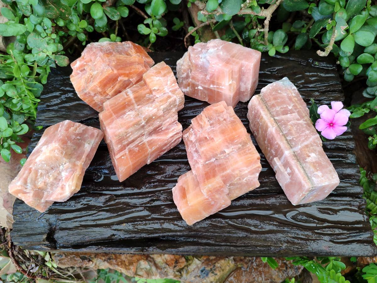 Natural Rhombohedral Sunset Orange Calcite Specimens x 6 From Spitzkop, Namibia - Toprock Gemstones and Minerals 