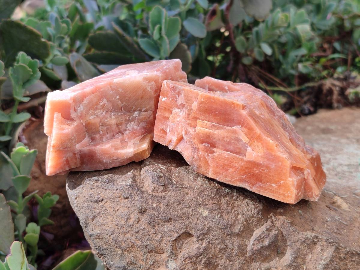 Natural Rhombohedral Sunset Orange Calcite Specimens x 6 From Spitzkop, Namibia - Toprock Gemstones and Minerals 
