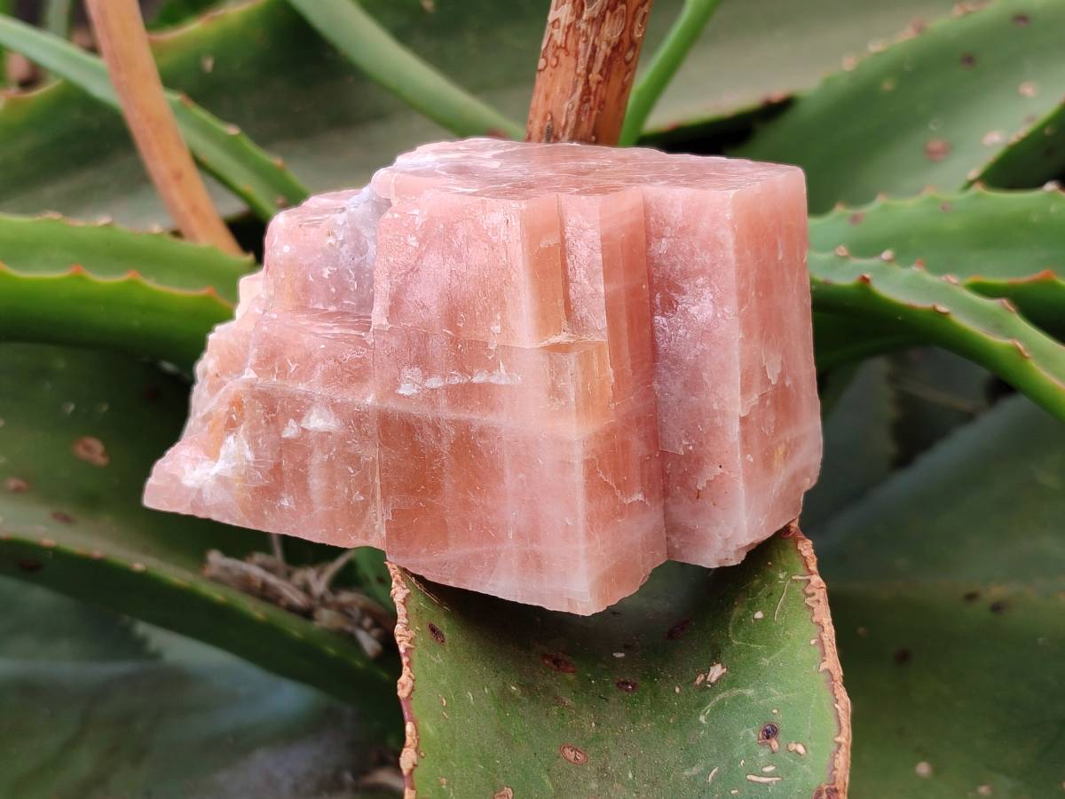 Natural Rhombohedral Sunset Orange Calcite Specimens x 6 From Spitzkop, Namibia - Toprock Gemstones and Minerals 