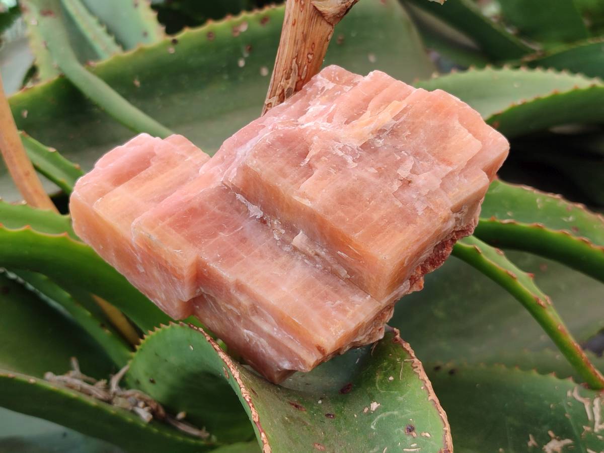 Natural Rhombohedral Sunset Orange Calcite Specimens x 6 From Spitzkop, Namibia - Toprock Gemstones and Minerals 