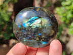 Polished Labradorite Palm Stones x 20 From Tulear, Madagascar - Toprock Gemstones and Minerals 
