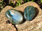 Polished Labradorite Palm Stones x 20 From Tulear, Madagascar - Toprock Gemstones and Minerals 