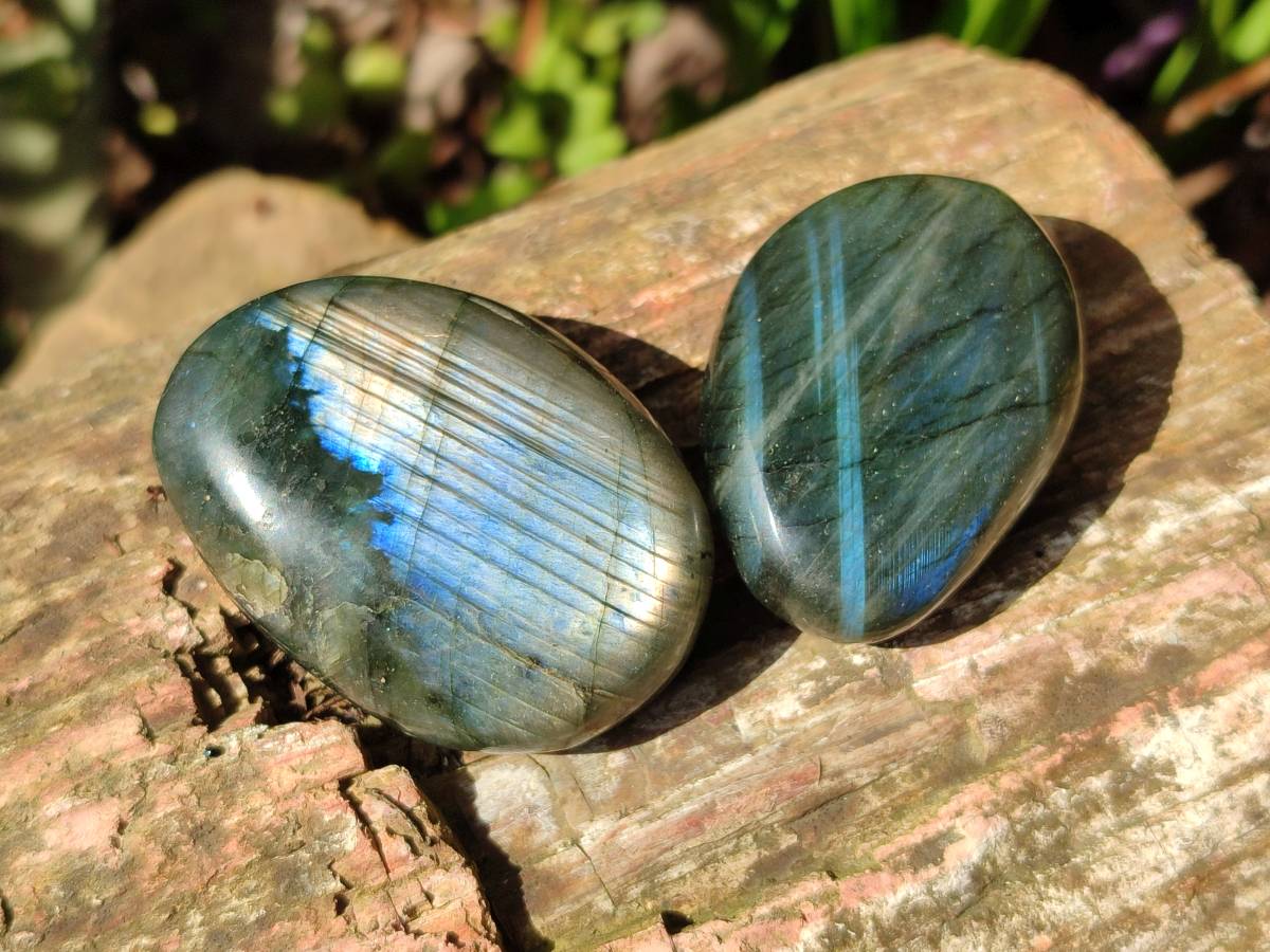 Polished Labradorite Palm Stones x 20 From Tulear, Madagascar - Toprock Gemstones and Minerals 