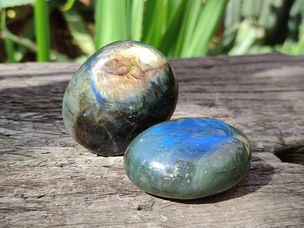 Polished Labradorite Palm Stones x 20 From Tulear, Madagascar - Toprock Gemstones and Minerals 
