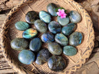 Polished Labradorite Palm Stones x 20 From Tulear, Madagascar - Toprock Gemstones and Minerals 