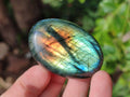 Polished Labradorite Palm Stones x 20 From Tulear, Madagascar - Toprock Gemstones and Minerals 
