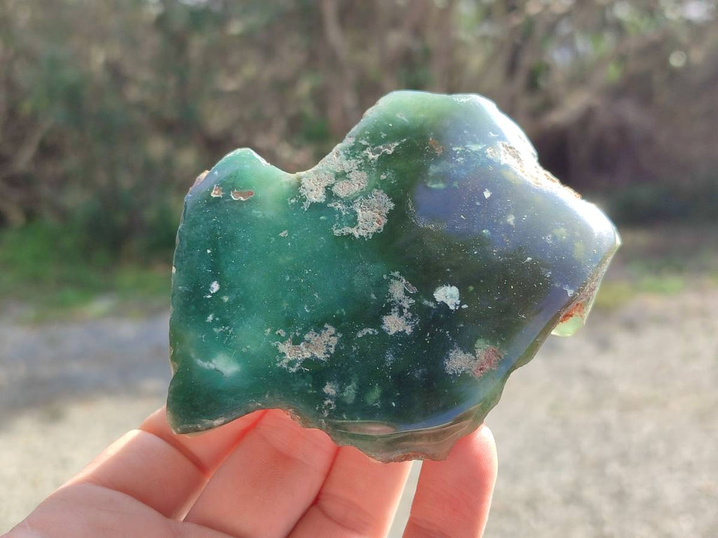 Polished On One Side Mtorolite Plates x 12 From Mutorashanga, Zimbabwe - Toprock Gemstones and Minerals 