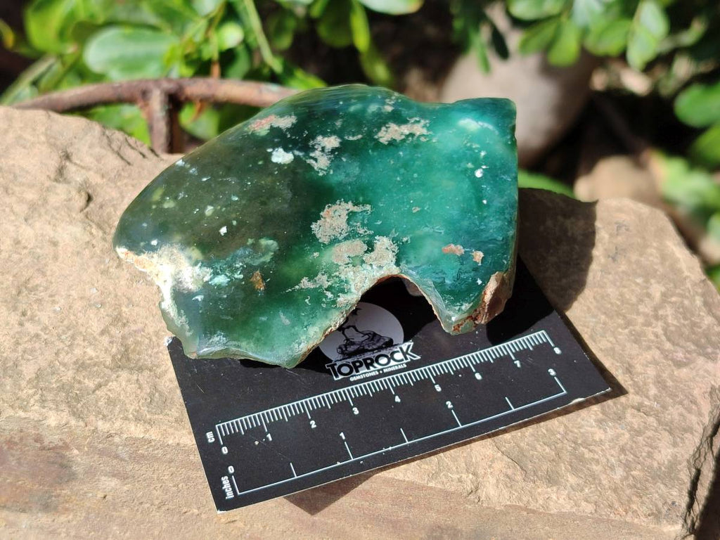 Polished On One Side Mtorolite Plates x 12 From Mutorashanga, Zimbabwe - Toprock Gemstones and Minerals 