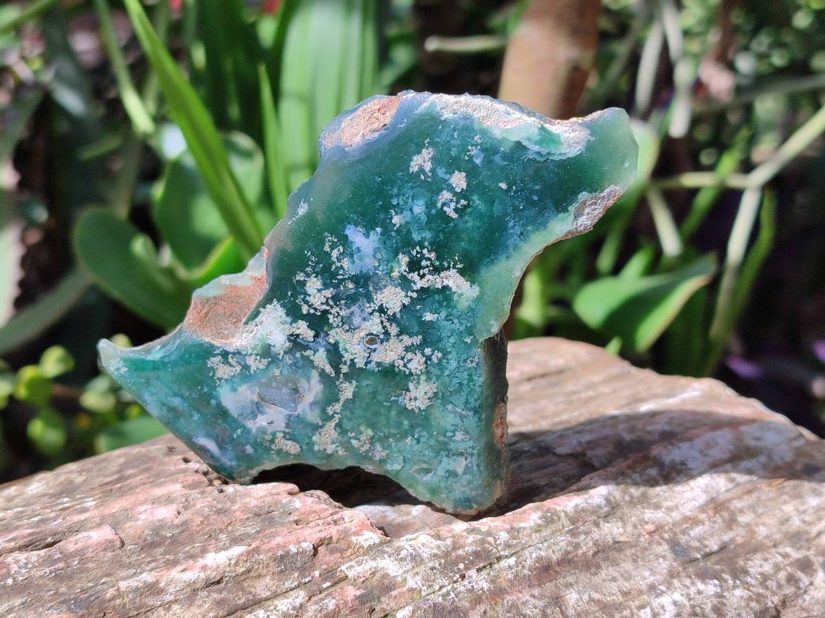 Polished On One Side Mtorolite Plates x 12 From Mutorashanga, Zimbabwe - Toprock Gemstones and Minerals 