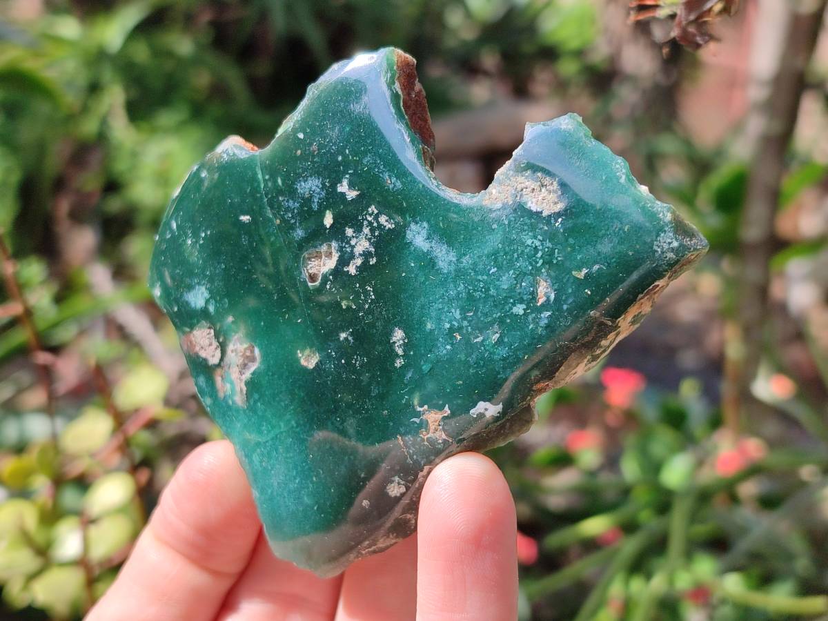 Polished On One Side Mtorolite Plates x 12 From Mutorashanga, Zimbabwe - Toprock Gemstones and Minerals 