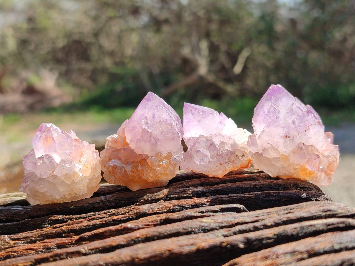 Natural Amethyst Spirit Quartz Crystals x 20 From Boekenhouthoek, South Africa - Toprock Gemstones and Minerals 