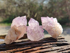 Natural Amethyst Spirit Quartz Crystals x 20 From Boekenhouthoek, South Africa - Toprock Gemstones and Minerals 