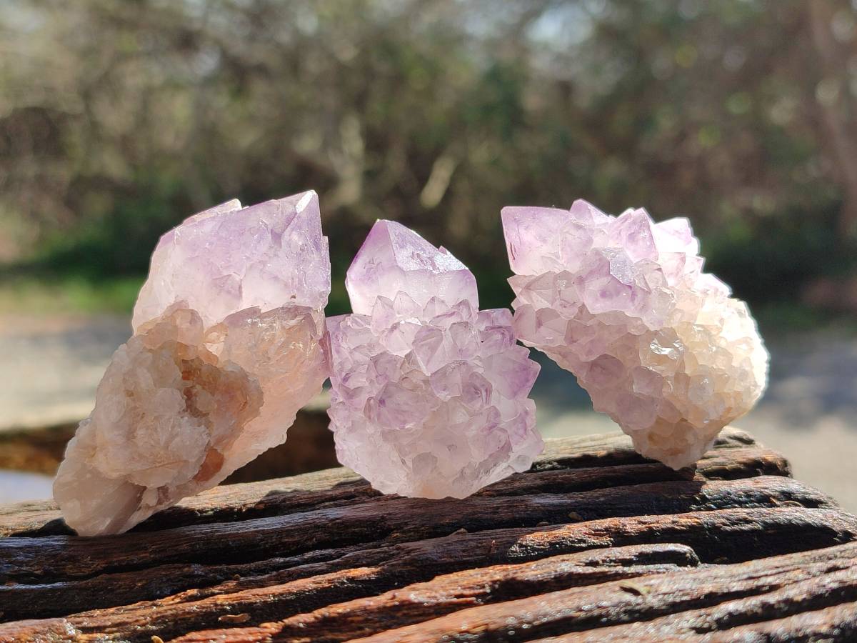 Natural Amethyst Spirit Quartz Crystals x 20 From Boekenhouthoek, South Africa - Toprock Gemstones and Minerals 