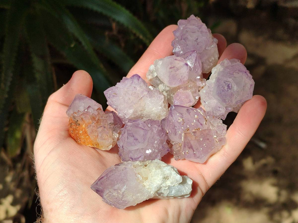Natural Amethyst Spirit Quartz Crystals x 20 From Boekenhouthoek, South Africa - Toprock Gemstones and Minerals 