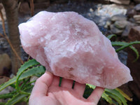 Natural Cobbed Rose Quartz Specimens x 5 From Northern Cape, South Africa