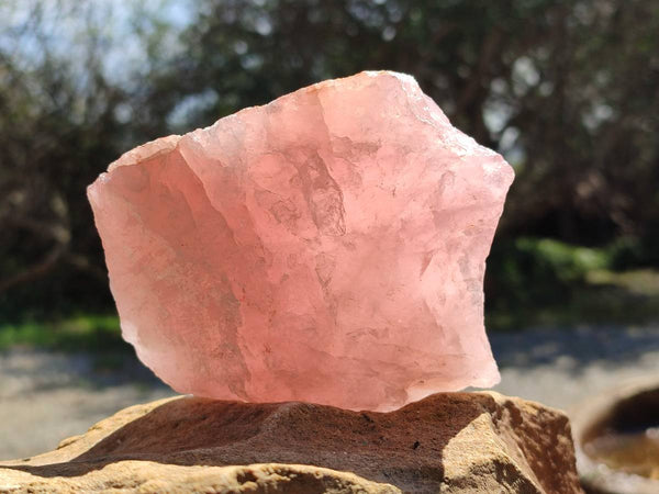 Natural Cobbed Rose Quartz Specimens x 5 From Northern Cape, South Africa