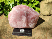 Natural Cobbed Rose Quartz Specimens x 5 From Northern Cape, South Africa