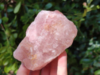 Natural Cobbed Rose Quartz Specimens x 5 From Northern Cape, South Africa