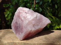 Natural Cobbed Rose Quartz Specimens x 5 From Northern Cape, South Africa