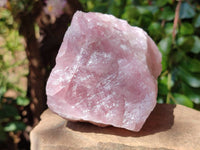 Natural Cobbed Rose Quartz Specimens x 5 From Northern Cape, South Africa