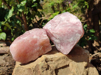 Natural Cobbed Rose Quartz Specimens x 5 From Northern Cape, South Africa