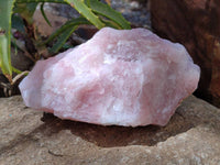 Natural Cobbed Rose Quartz Specimens x 5 From Northern Cape, South Africa