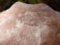 Natural Cobbed Rose Quartz Specimens x 5 From Northern Cape, South Africa