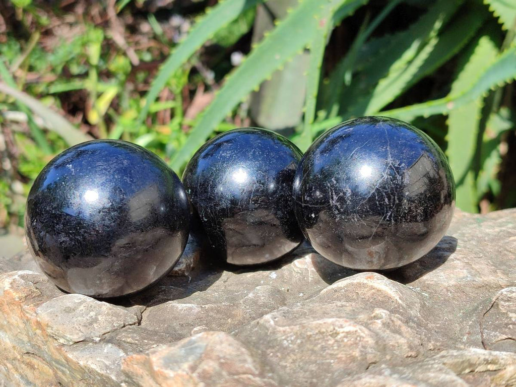 Polished Black Tourmaline Spheres x 6 From Madagascar - Toprock Gemstones and Minerals 