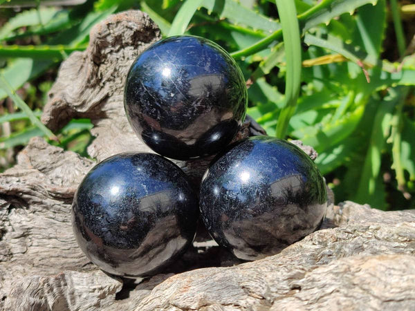 Polished Black Tourmaline Spheres x 6 From Madagascar