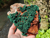Natural Crystalline Ball Malachite and Drusy Quartz On Dolomite Matrix Specimen x 1 From Kambove, Congo