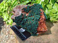 Natural Crystalline Ball Malachite and Drusy Quartz On Dolomite Matrix Specimen x 1 From Kambove, Congo