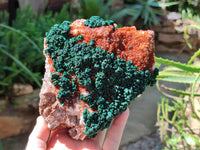 Natural Crystalline Ball Malachite and Drusy Quartz On Dolomite Matrix Specimen x 1 From Kambove, Congo