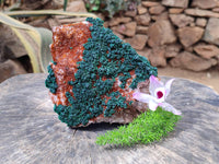 Natural Crystalline Ball Malachite and Drusy Quartz On Dolomite Matrix Specimen x 1 From Kambove, Congo