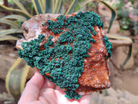 Natural Crystalline Ball Malachite and Drusy Quartz On Dolomite Matrix Specimen x 1 From Kambove, Congo