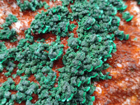 Natural Crystalline Ball Malachite and Drusy Quartz On Dolomite Matrix Specimen x 1 From Kambove, Congo
