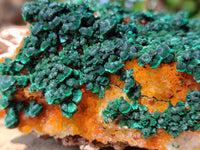 Natural Crystalline Ball Malachite and Drusy Quartz On Dolomite Matrix Specimen x 1 From Kambove, Congo