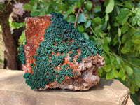 Natural Crystalline Ball Malachite and Drusy Quartz On Dolomite Matrix Specimen x 1 From Kambove, Congo