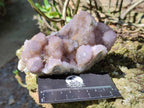 Natural Amethyst Spirit Quartz Clusters x 3 From Boekenhouthoek, South Africa - Toprock Gemstones and Minerals 