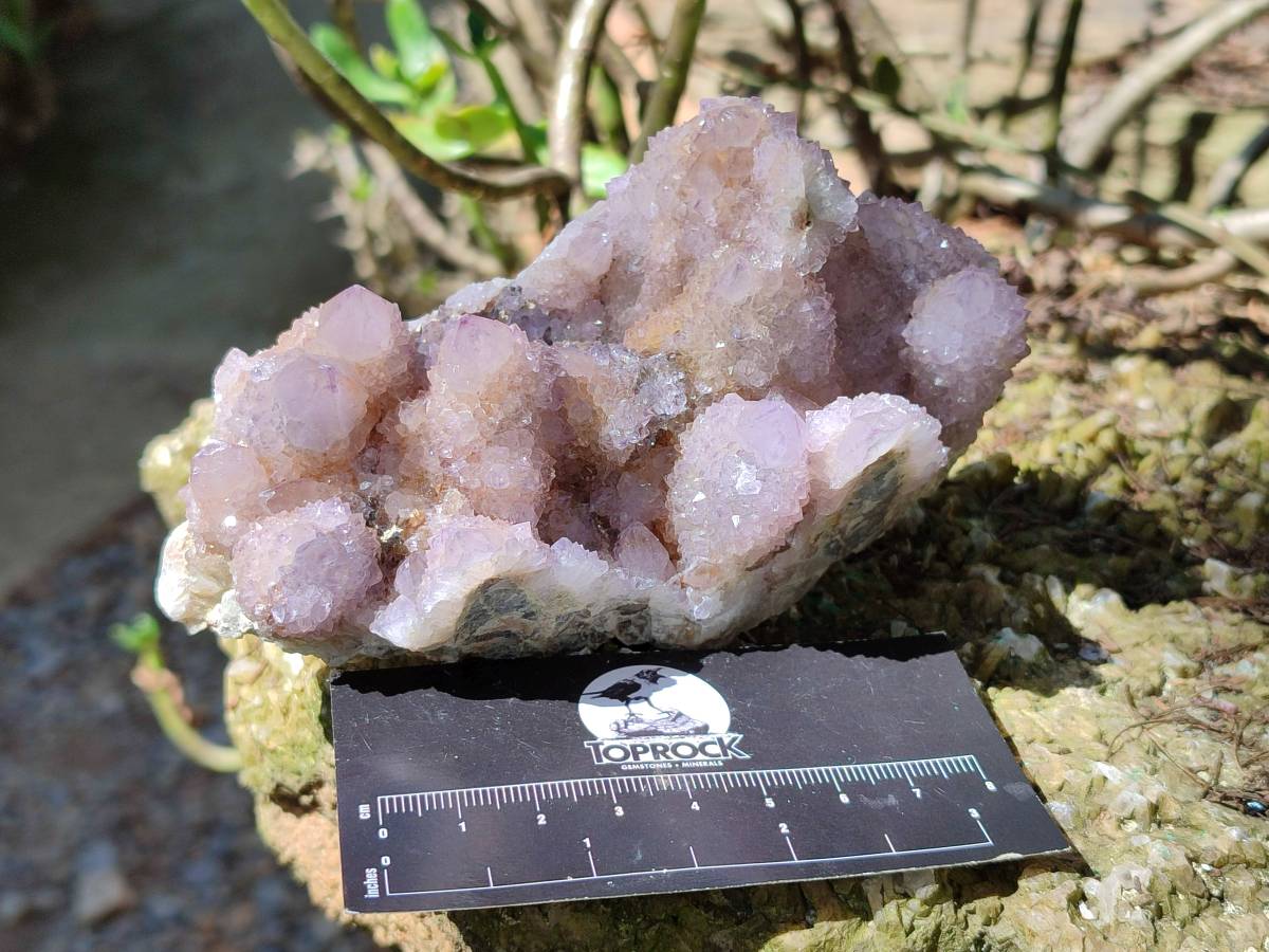 Natural Amethyst Spirit Quartz Clusters x 3 From Boekenhouthoek, South Africa - Toprock Gemstones and Minerals 