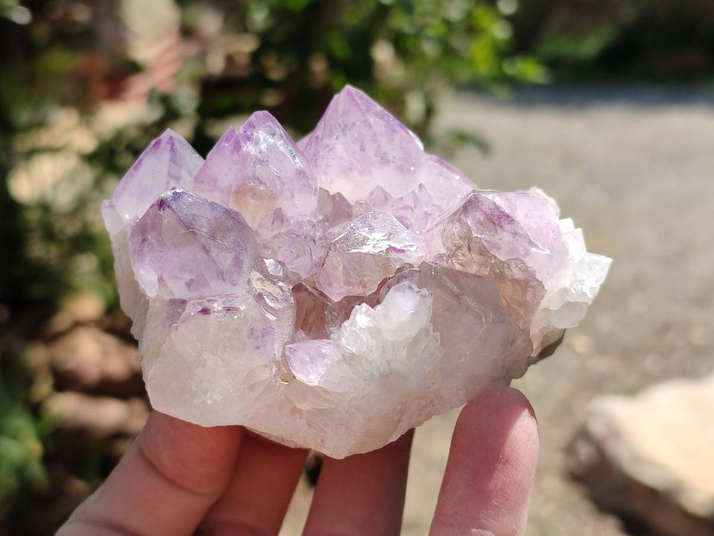 Natural Amethyst Spirit Quartz Clusters x 3 From Boekenhouthoek, South Africa - Toprock Gemstones and Minerals 