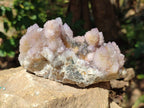 Natural Amethyst Spirit Quartz Clusters x 3 From Boekenhouthoek, South Africa - Toprock Gemstones and Minerals 