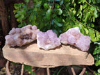 Natural Amethyst Spirit Quartz Clusters x 3 From Boekenhouthoek, South Africa - Toprock Gemstones and Minerals 