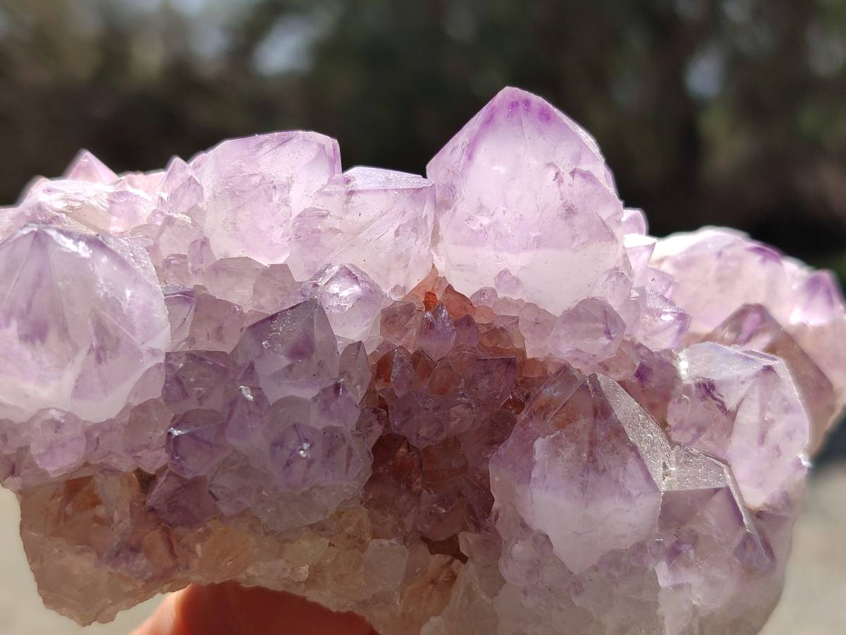 Natural Amethyst Spirit Quartz Clusters x 3 From Boekenhouthoek, South Africa - Toprock Gemstones and Minerals 