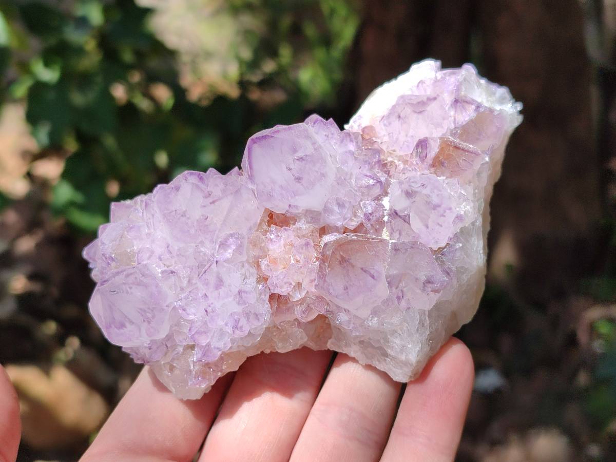 Natural Amethyst Spirit Quartz Clusters x 3 From Boekenhouthoek, South Africa - Toprock Gemstones and Minerals 