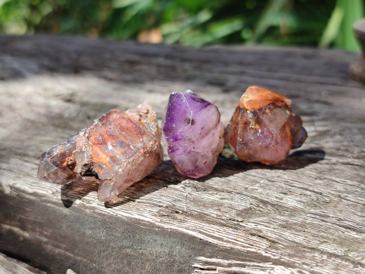 Natural Window Amethyst Crystals x 35 From Chiredzi, Zimbabwe - Toprock Gemstones and Minerals 
