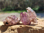Natural Window Amethyst Crystals x 35 From Chiredzi, Zimbabwe - Toprock Gemstones and Minerals 