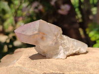 Natural Smokey Window Amethyst Crystals x 12 From Madagascar