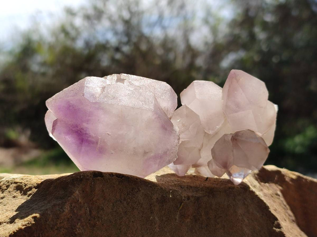 Natural Smokey Window Amethyst Crystals x 12 From Madagascar - Toprock Gemstones and Minerals 