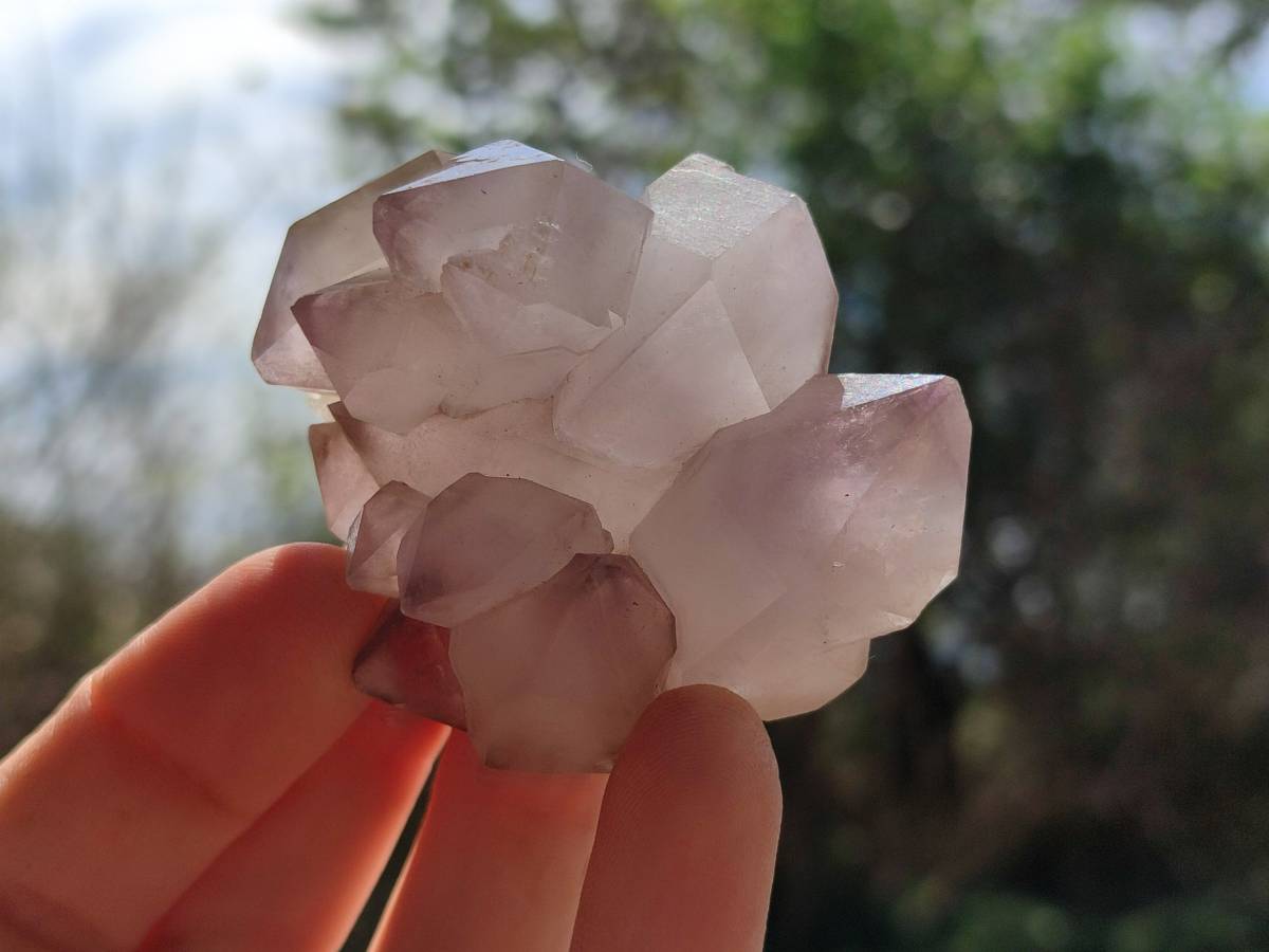 Natural Smokey Window Amethyst Crystals x 12 From Madagascar - Toprock Gemstones and Minerals 